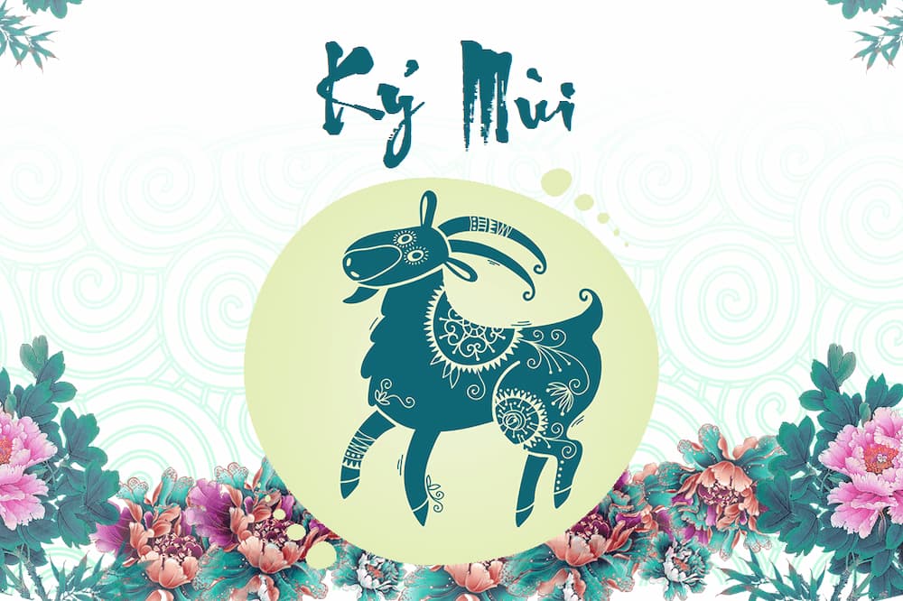 Nam Nữ tuổi Kỷ Mùi 1979 mệnh gì hợp màu gì