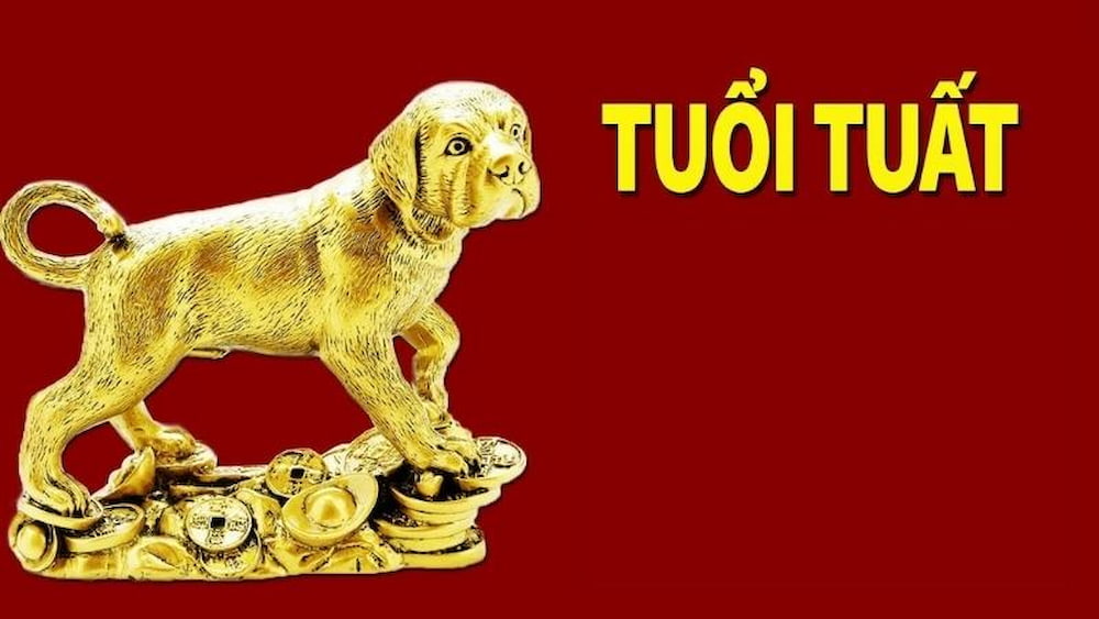 Nam Nữ tuổi Bính Tuất 2006 mệnh gì hợp màu gì