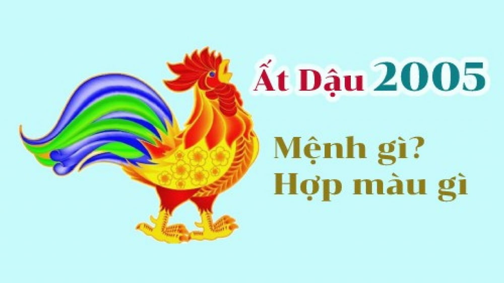 sinh-nam-at-dau-2005-menh-gi-hop-mau-nao
