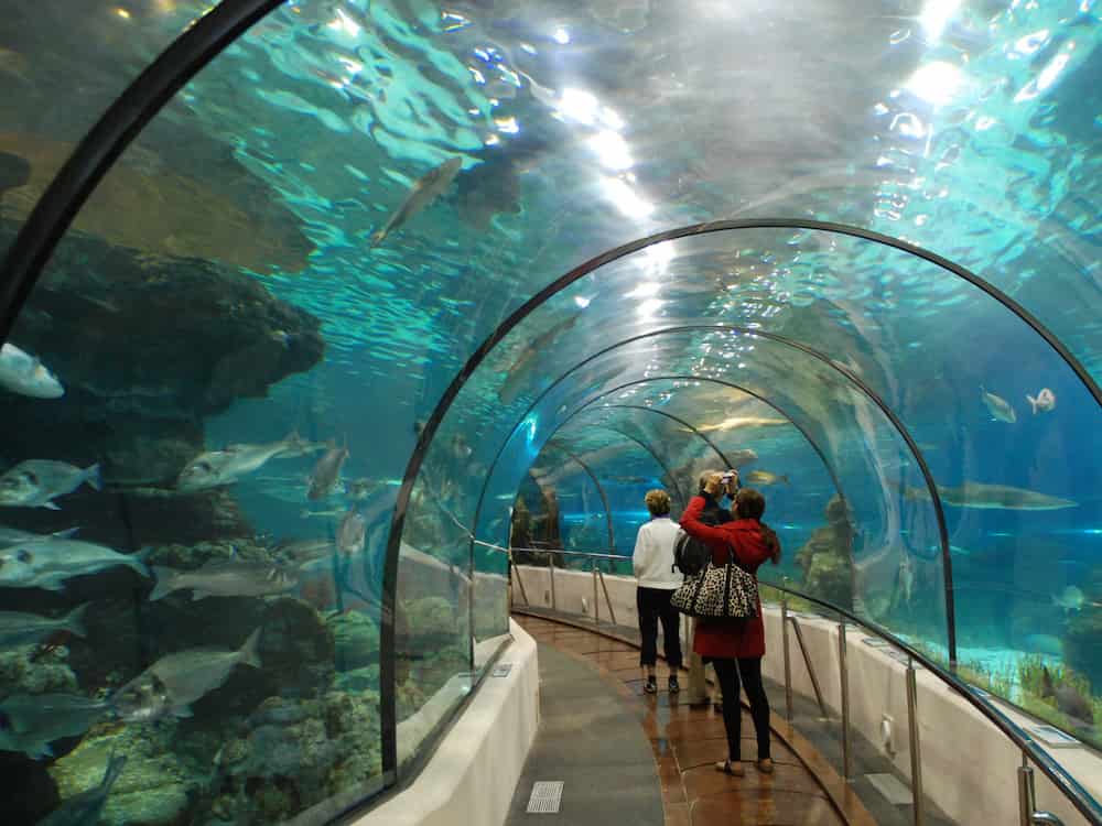 Thủy cung Vinpearl Aquarium gần với Park 2 Times City 