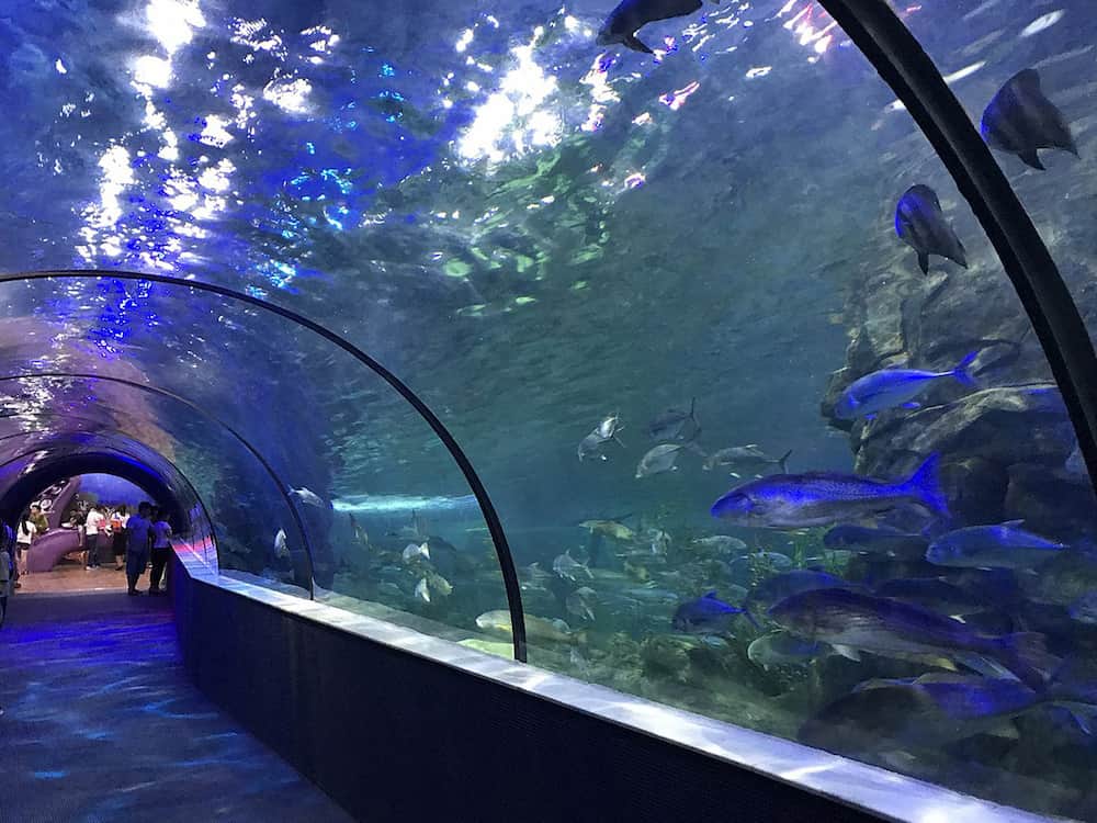 Thủy cung Vinpearlland Aquarium tại Times City Mega Mall