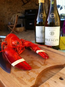 Domaine de Brescou lobster