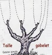 gobelet