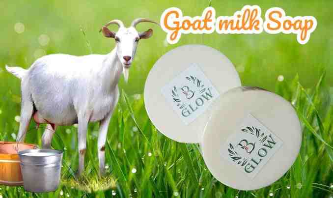 Goat Milk Soap