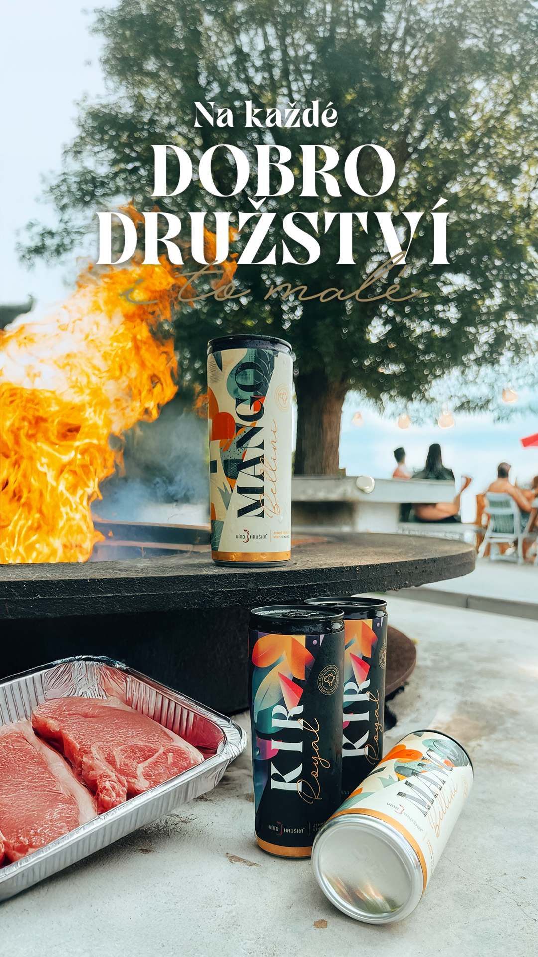 S přáteli