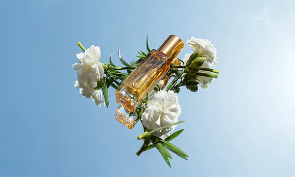 น้ำหอมโทนไหนเหมาะกับฤดูร้อน – ฤดูหนาว?