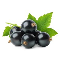 Blackcurrant leaf extract