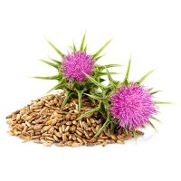 Milk thistle seed oil