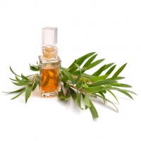 Tea tree Essential Oil