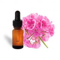 Rose geranium essential oil