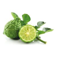 Bergamot essential oil