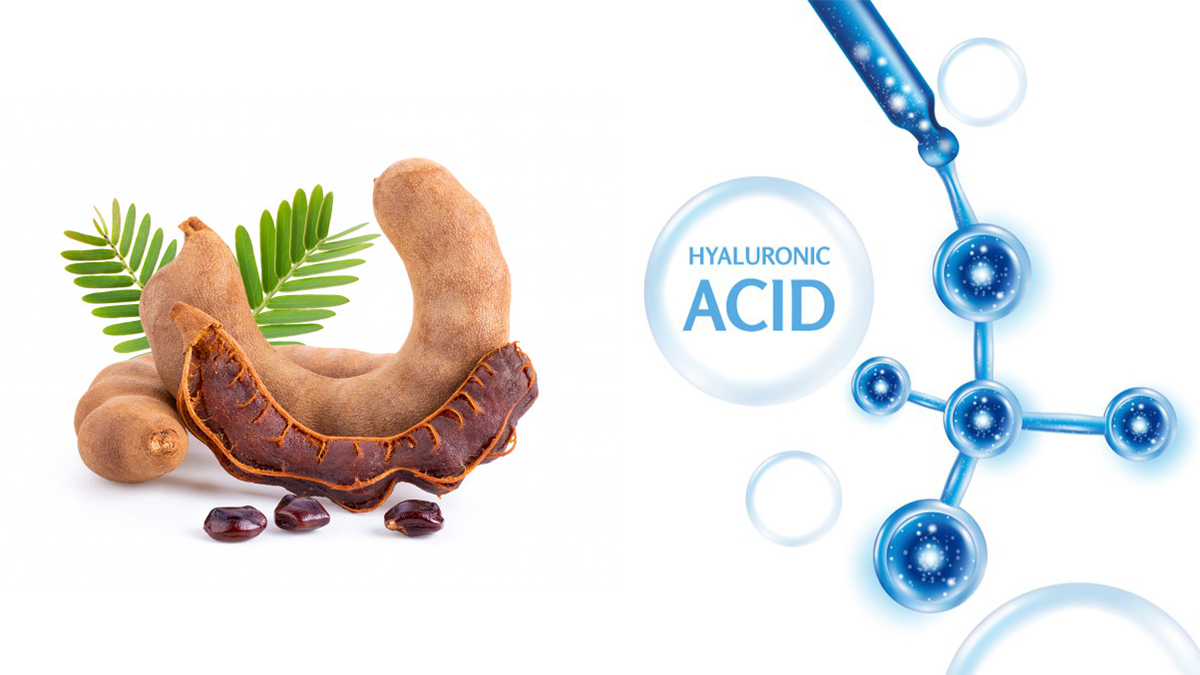 Vegetable Hyaluronic Acid