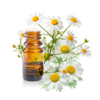 Chamomile essential oil