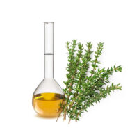 Thyme essential oil