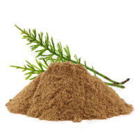 Horsetail extract