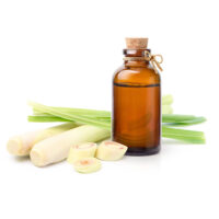 Lemongrass essential oil