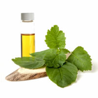 Patchouli essential oil