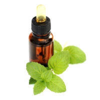 Wild Peppermint Essential Oil