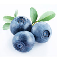 Blueberry polyphenols