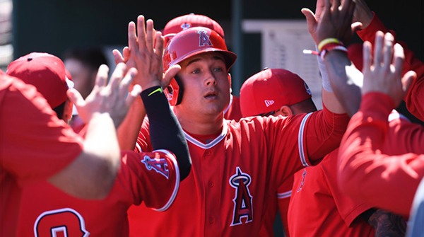 GOODYEAR, ARIZONA - MARCH 03: Matt Thaiss #23 of the Los Angeles Angels celebrates with teammates in the dugout after scoring of a single by Michael Hermosillo #21 during the second inning against the Cleveland Indians during a spring training game at Goodyear Ballpark on March 03, 2020 in Goodyear, Arizona. (Photo by Norm Hall/Getty Images)