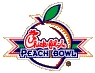 peach_bowl_logo_sm.jpg