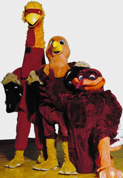 HokieBird Evolution