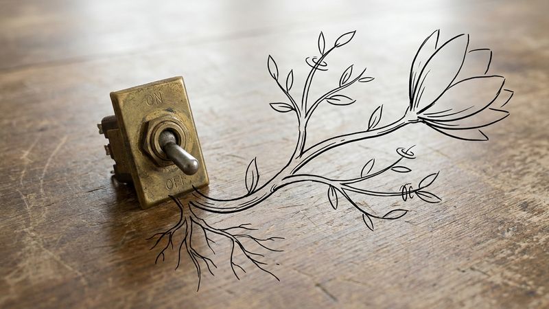 Sometimes the biggest breakthrough comes from accidentally turning something off.