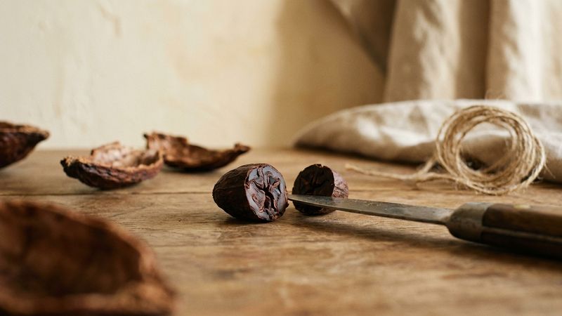 What Purple Cacao Beans Reveal About the Chocolate Youre Eating - image 1