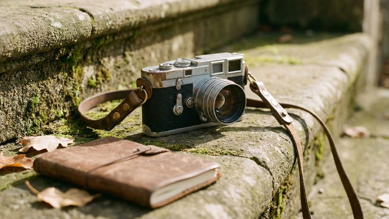 Изкуството да забелязваш не изисква професионализъм - само желание да спреш.