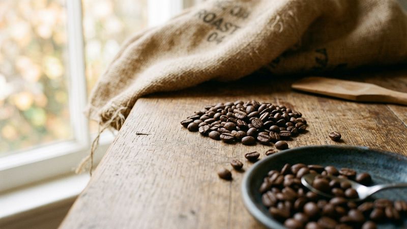 Little Nest Coffee Roasters Hatches Outside Detroit - image 1