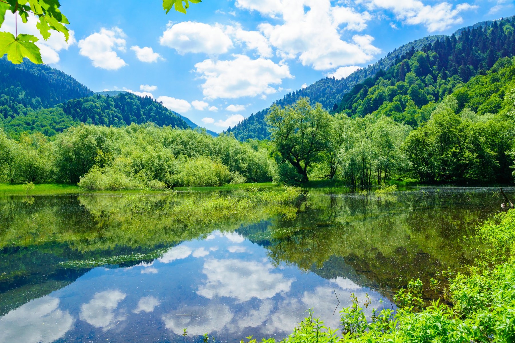 biogradska-gora-national-park-visit-montenegro