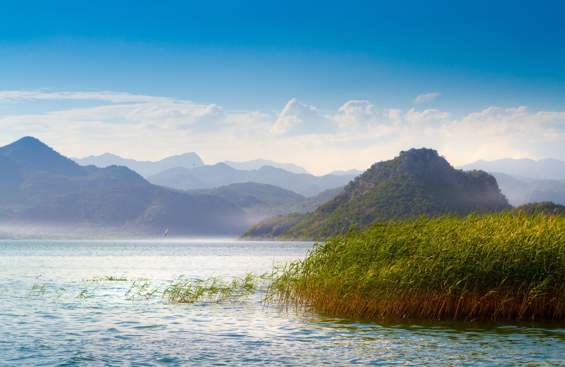 Lake Skadar