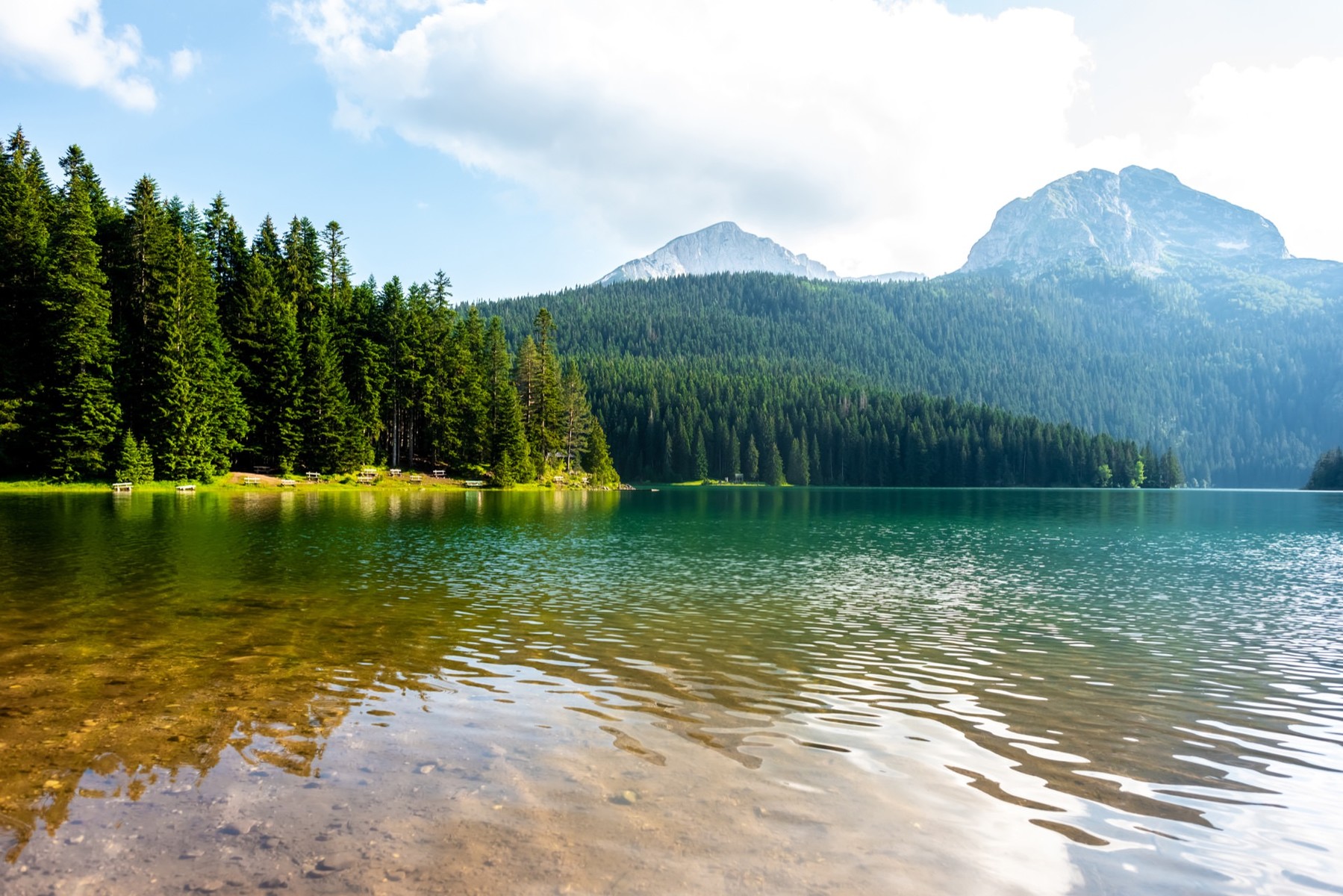 tourist information zabljak