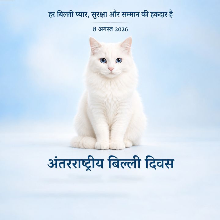 International Cat Day 5 poster design