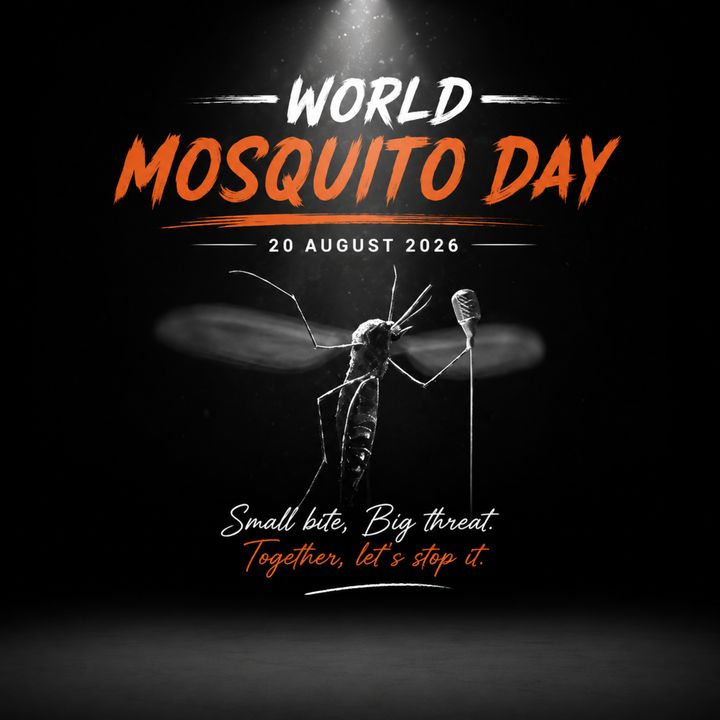 World Mosquito Day 3 poster design