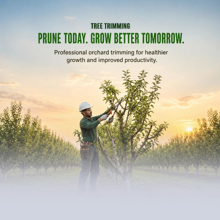 Tree Trimming 11 poster design