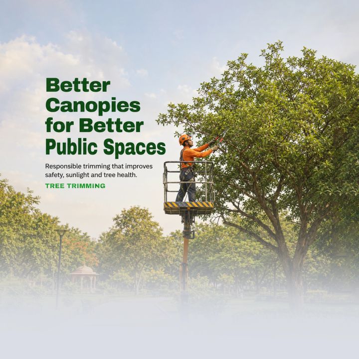 Tree Trimming 13 poster design