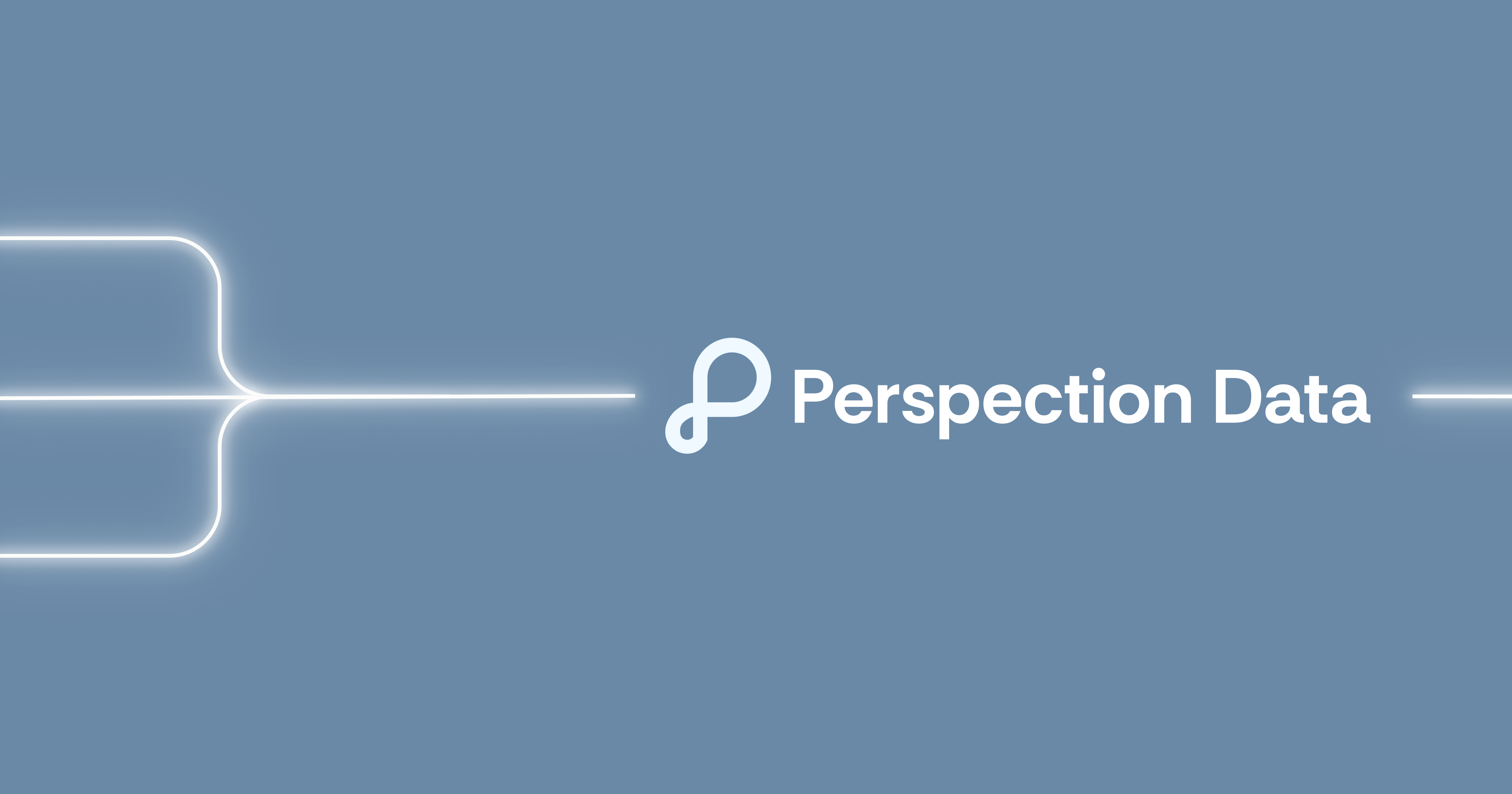 What is Perspection Data? 📈