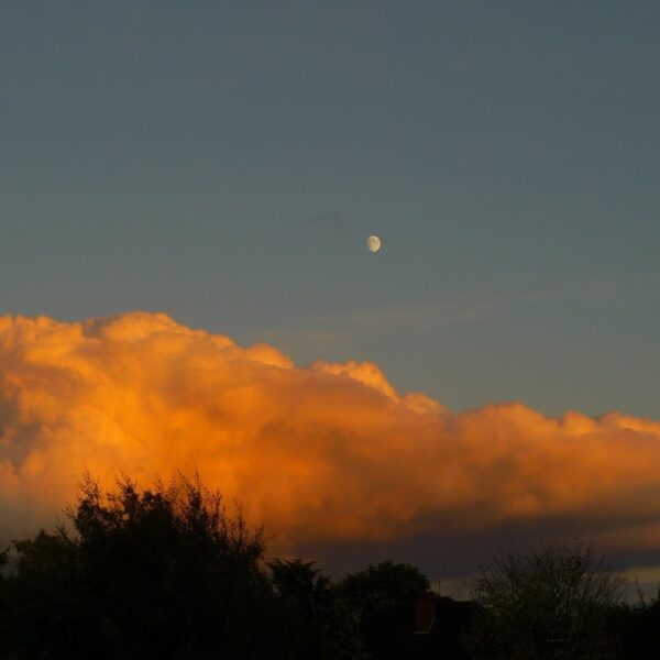 From My Bedroom Window