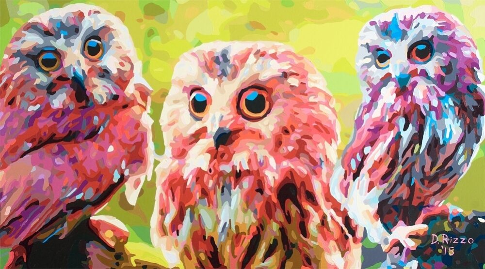 Visual AIDS | Donald Rizzo