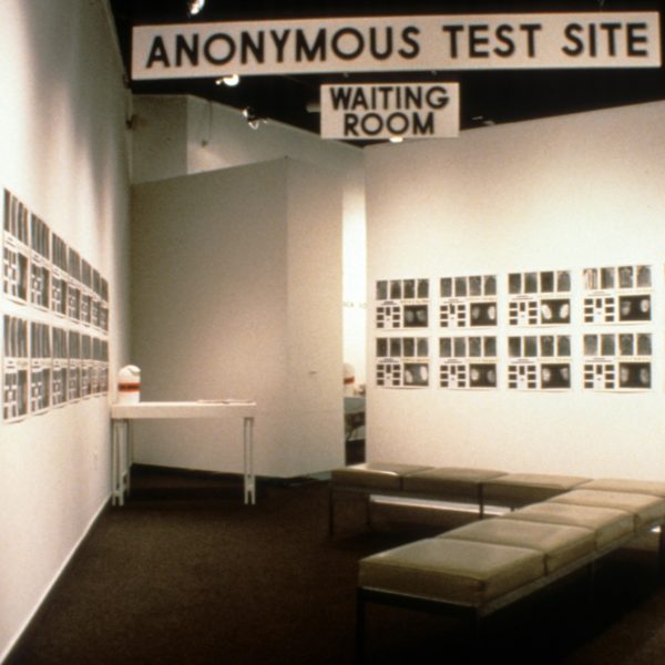 Anonymous Test Site (installation view)