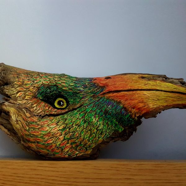 Bagley Wood Bird