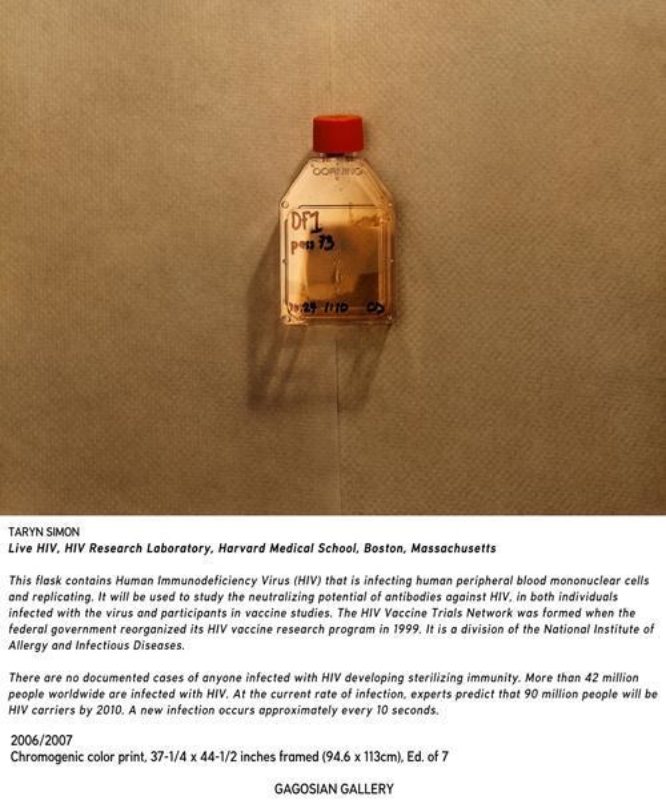 11 1612 Tarynsimon2007 Livehiv Mam