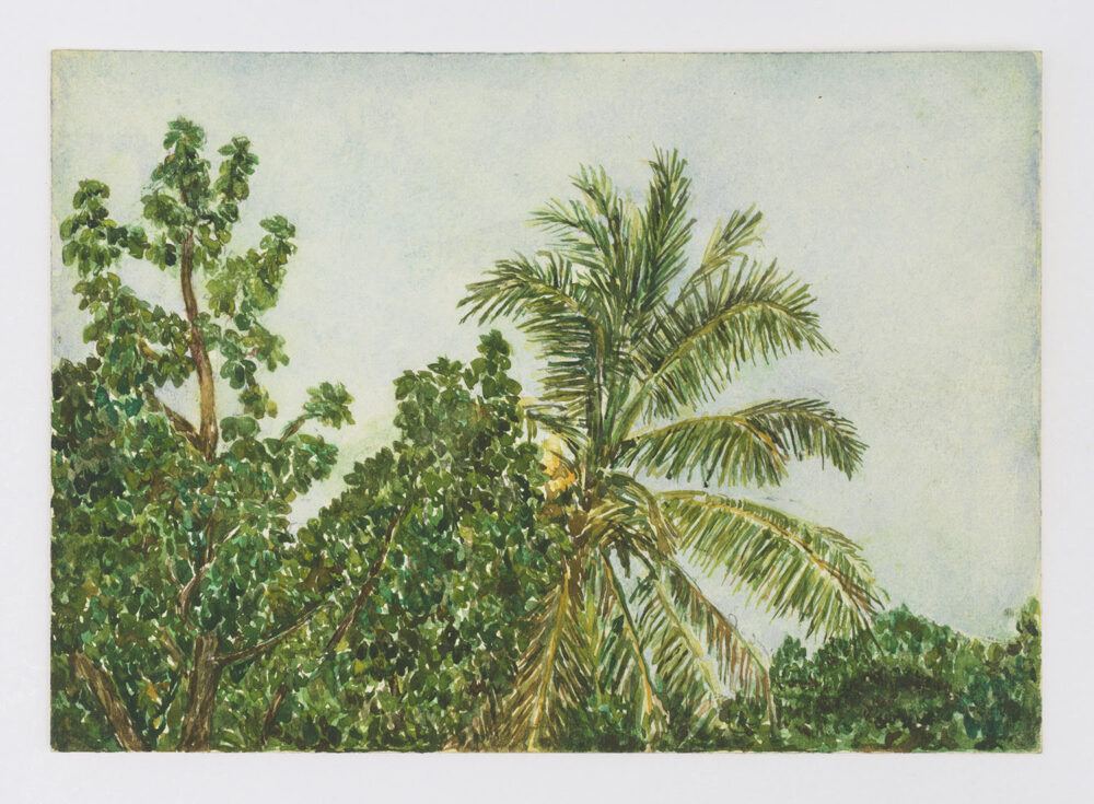 Miguel Ferrando, Untitled (tropical landscape), 1992-1995, Watercolor on paper (framed), 6 x 8.5 inches, photo courtesy of Teresa Ferrando, Christopher Burke Studios, and Visual AIDS.