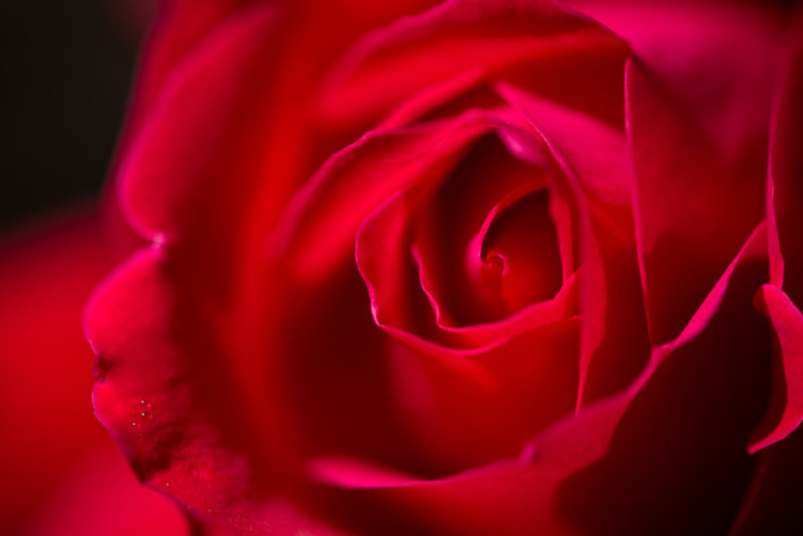 Perseverance | Visual AIDS