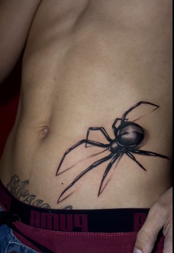 Vídeo Realismo Aranha