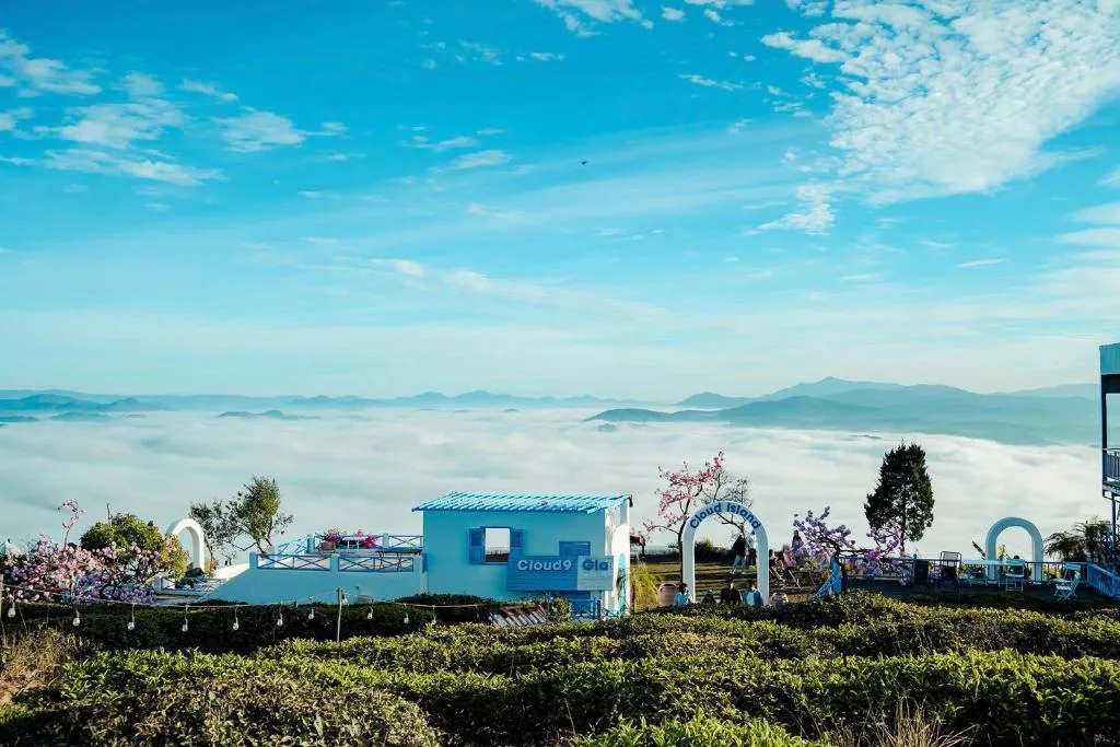 Cloud9 & Cloud View Glamping