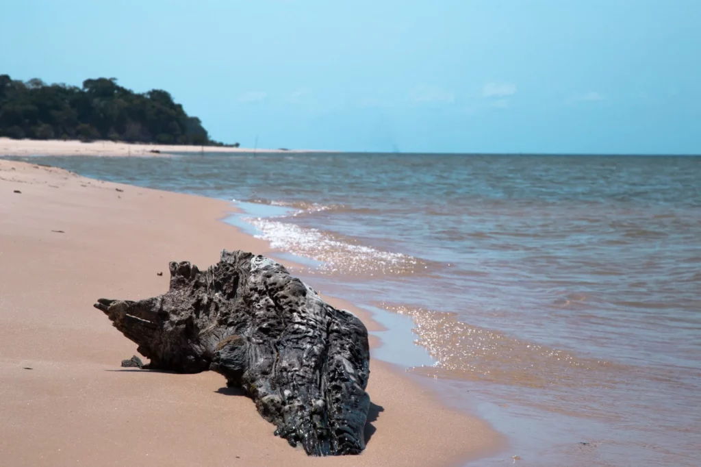 Praia de água doce às margens do Rio Tapajós em Alter do Chão