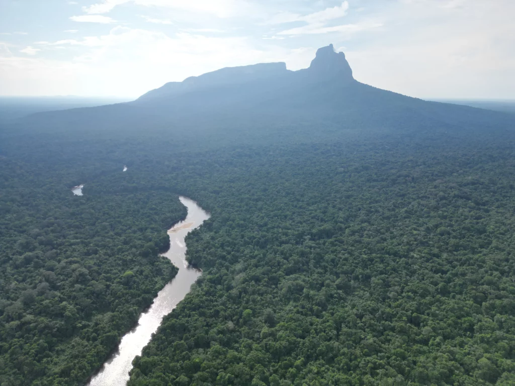 Pico da Neblina, o mais alto entre os picos do Brasil, cercado pela floresta amazônica