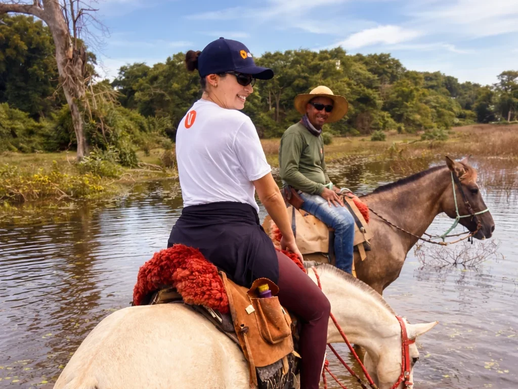 como se locomover no Pantanal